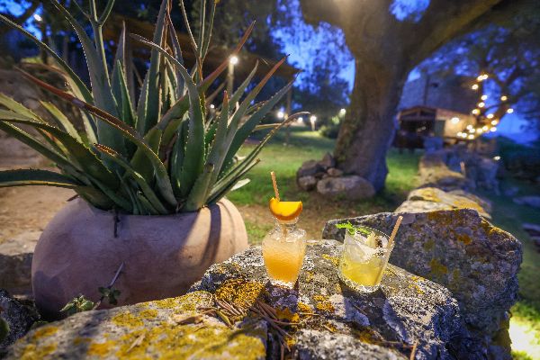 Cocktails