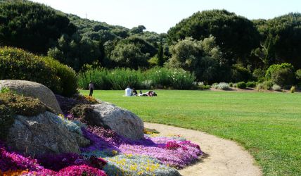 Parc de Saleccia